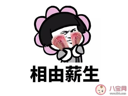 相由薪生什么意思 相由薪生是什么梗