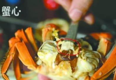 螃蟹哪些部位不能吃图解 螃蟹怎么吃图解