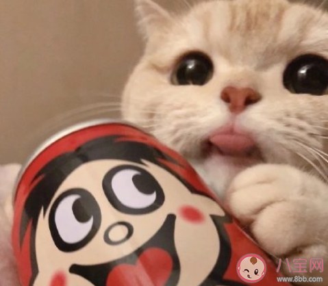 当代网友的单身状态是怎样 单身的你是什么样的心态