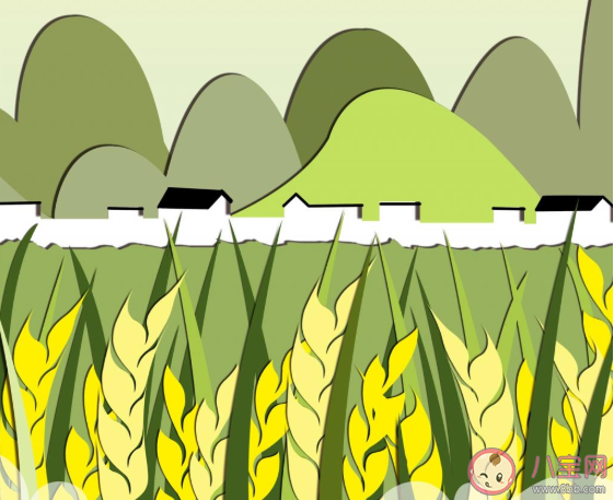 2020芒种节气文案配图 2020芒种节气很火的朋友圈文案