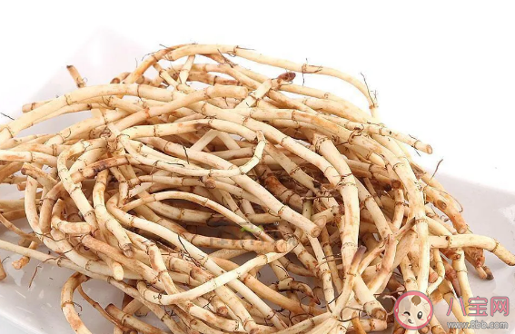 鱼腥草的功效与作用是什么  鱼腥草可以减肥吗