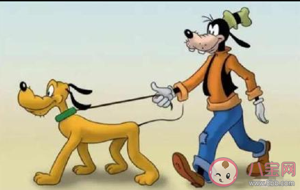 动漫里的不解之谜有哪些 动漫里的不解之谜分享