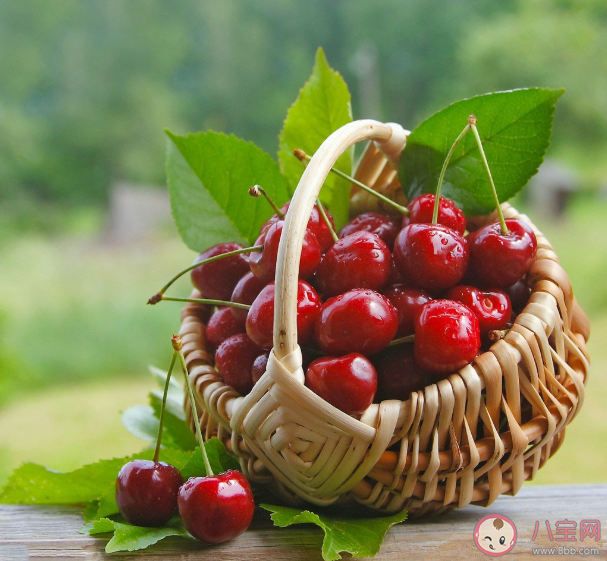 车厘子能治疗痛风吗 车厘子在健康方面有哪些优势 车厘子能治疗痛风吗 车厘子在健康方面有哪些优势