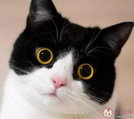 戴口罩还需要抹防晒吗 出门戴口罩可以防晒吗