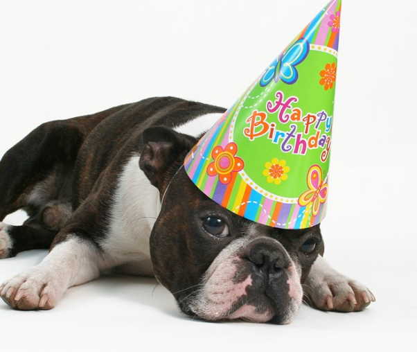 如何文艺的说生日快乐 表达生日快乐的文艺祝福语 如何文艺的说生日快乐 表达生日快乐的文艺祝福语