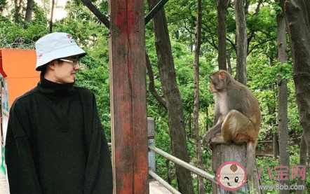 我和我的家乡有哪几个导演 有哪几个故事