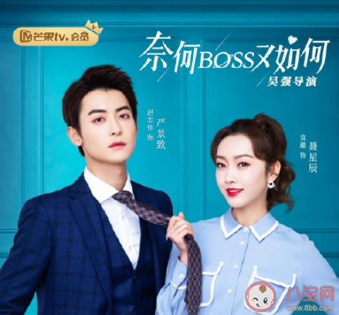 《奈何boss又如何》剧情讲的是什么 《奈何boss又如何》角色剧情介绍