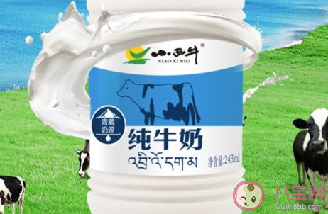 奶味最浓最好喝的牛奶是什么 什么牌子的牛奶最浓最好喝