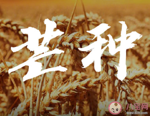 2020芒种节气唯美说说短句 2020芒种节气暖心祝福语文案说说