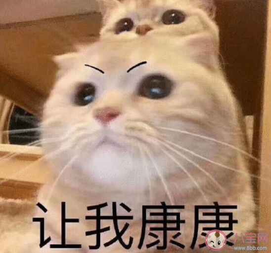 哪些瞬间你不想住在宿舍里了 不想住宿舍的原因有哪些