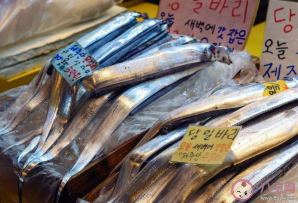 带鱼可以养殖吗 带鱼能不能人工养殖 带鱼可以养殖吗 带鱼能不能人工养殖