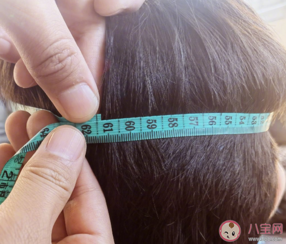 景甜的手和张彬彬的头对比图 张彬彬头围是多少