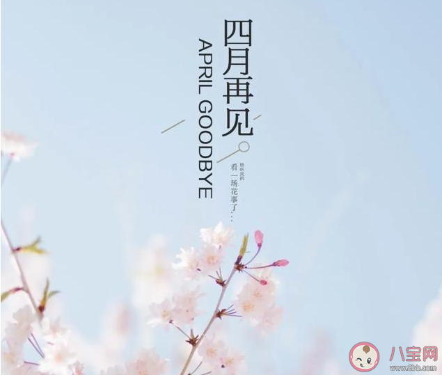 五月你好正能量励志朋友圈语录 五月你好朋友圈正能量句子