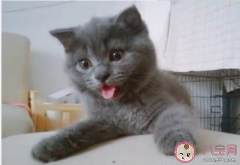 30岁的PlanB发朋友圈的文案 30岁的PlanB的感慨文案句子 30岁的PlanB发朋友圈的文案 30岁的PlanB的感慨文案句子