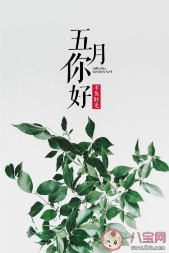 2020已过去三分之一的朋友圈说说 2020已过去三分之一的朋友圈句子