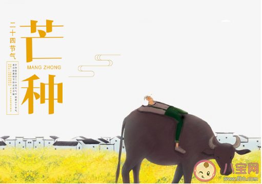 2020芒种节气发什么朋友圈好 2020关于芒种的朋友圈说说大全