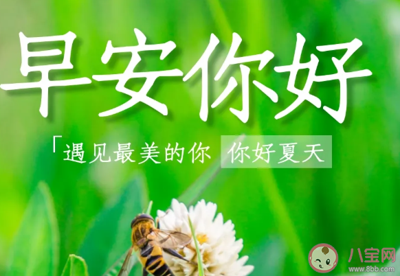 2020五月最后一天早安说说 5月最后一天早上好句子 2020五月最后一天早安说说 5月最后一天早上好句子