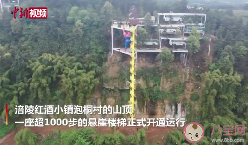 重庆4500度悬崖旋转楼梯在哪 值得一去的楼梯景点有哪些 重庆4500度悬崖旋转楼梯在哪 值得一去的楼梯景点有哪些