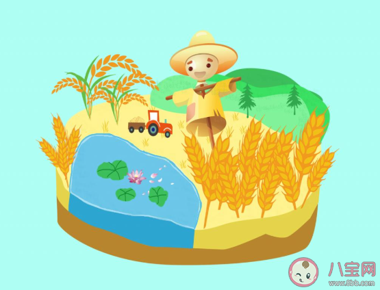 2020芒种节气文案配图 2020芒种节气很火的朋友圈文案