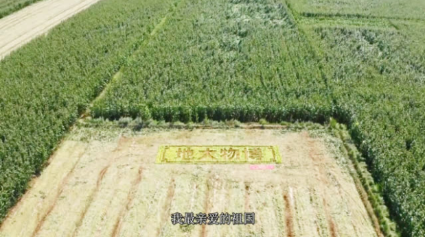 34省份共煮一锅饭是怎么回事 34省份主粮共煮一锅饭是什么味道