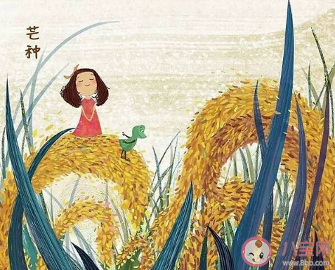 2020芒种节气发什么朋友圈好 2020关于芒种的朋友圈说说大全