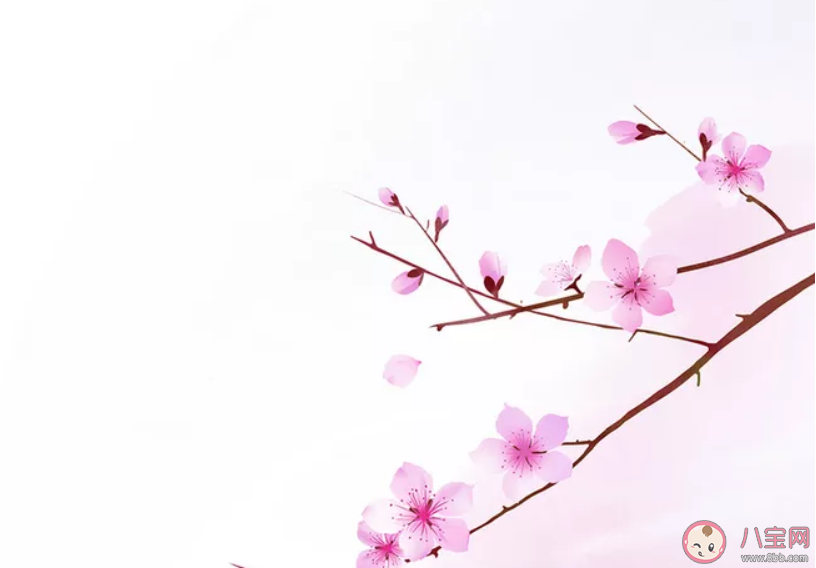 桃花开了经典美文句子 桃花开了经典说说语录大全 桃花开了经典美文句子 桃花开了经典说说语录大全