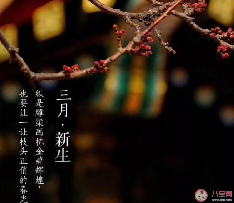 三月第一天的朋友圈说说 三月第一天你好的朋友圈说说句子