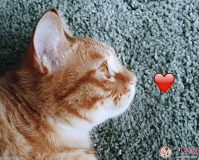 一个人静静听歌的心情朋友圈 一个人静静听歌的感想