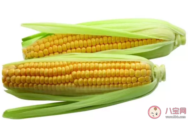 玉米热量高为什么还减肥 晚上吃玉米会胖