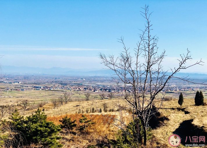春天来了心情句子 记录春天来了的心情朋友圈 春天来了心情句子 记录春天来了的心情朋友圈