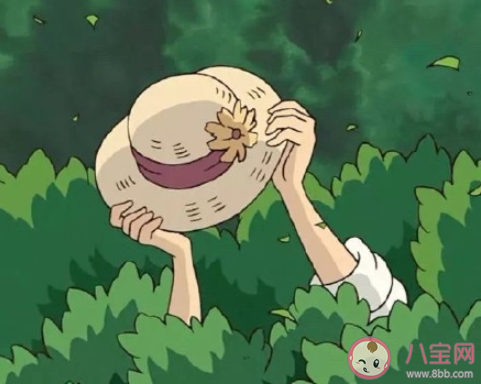 小时候夏天是如何度过的 小时候的夏天你还记得是什么样吗