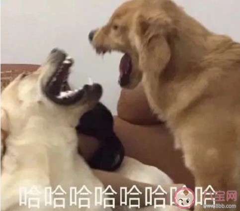 在考场遇过哪些奇葩事 考场的奇葩经历有哪些 在考场遇过哪些奇葩事 考场的奇葩经历有哪些