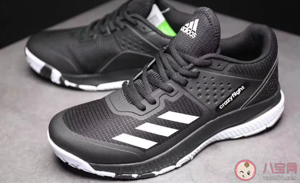 排球鞋和篮球鞋是一样的吗 排球运动员为什么穿篮球鞋