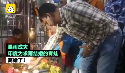 印度为求雨结婚的青蛙离婚了是什么意思 印度给青蛙结婚秋雨是怎么回事 印度为求雨结婚的青蛙离婚了是什么意思 印度给青蛙结婚秋雨是怎么回事