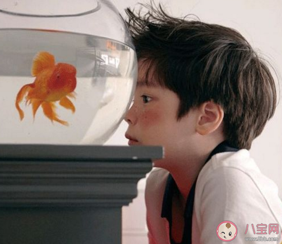 2020儿童节朋友圈怎么配文字  六一儿童节温馨可爱朋友圈说说