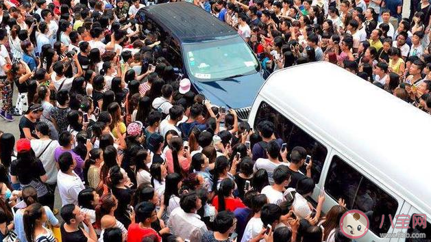 饭圈存在哪些乱象 饭圈几大乱象