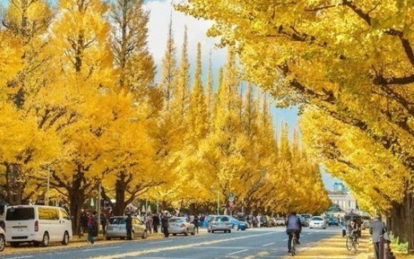 2019国庆节去哪旅游人少 国庆节人少的旅游地点推荐 2019国庆节去哪旅游人少 国庆节人少的旅游地点推荐