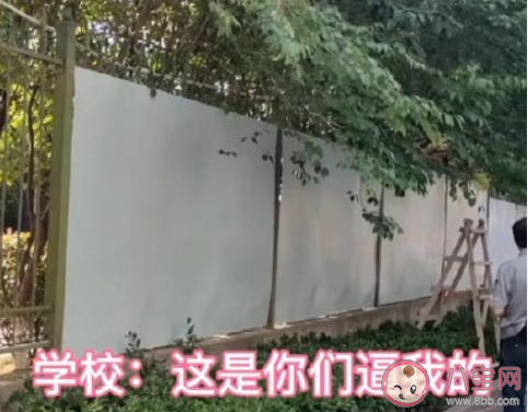 铁皮一焊爱情就断是什么梗 铁皮一焊爱情就断梗的出处是什么
