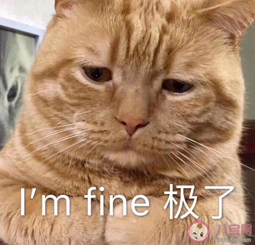 最近老做梦说说朋友圈 最近老做梦心情感慨