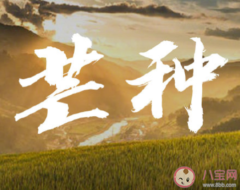 2020芒种节气唯美说说短句 2020芒种节气暖心祝福语文案说说