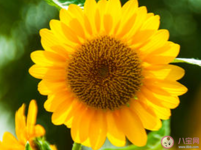 2020天气回暖的心情文案句子 天气暖和起来了的心情说说 2020天气回暖的心情文案句子 天气暖和起来了的心情说说