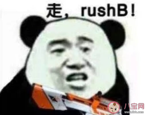 贴吧441615是什么梗 贴吧441615梗的出处是什么 贴吧441615是什么梗 贴吧441615梗的出处是什么