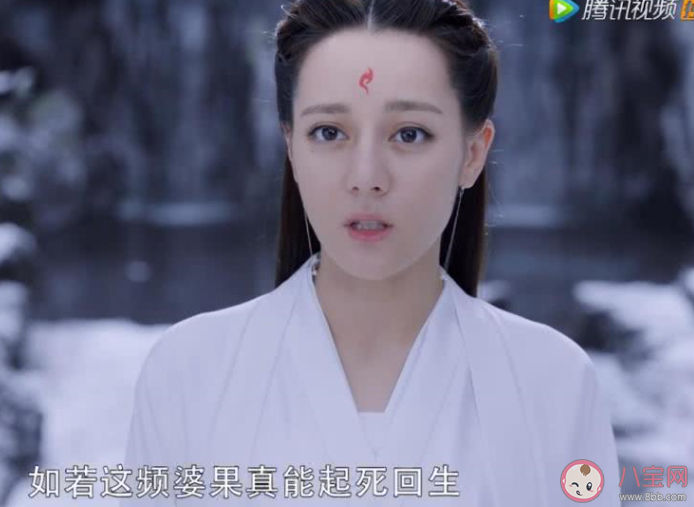 三生三世枕上书频婆果有什么用 白凤九为什么要偷频婆果 三生三世枕上书频婆果有什么用 白凤九为什么要偷频婆果