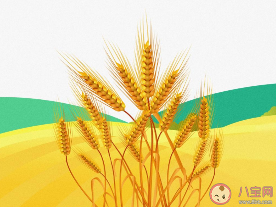 2020芒种节气文案配图 2020芒种节气很火的朋友圈文案