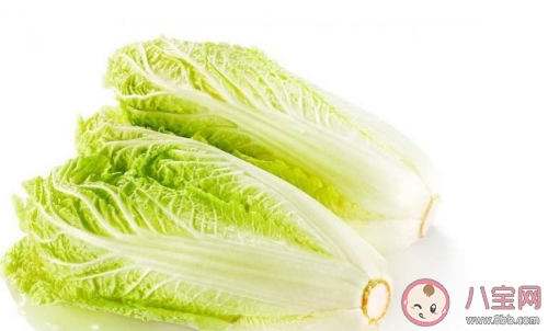 娃娃菜长大了就是大白菜吗 如何分辨大白菜和娃娃菜 娃娃菜长大了就是大白菜吗 如何分辨大白菜和娃娃菜