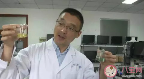 返青粽叶怎么辨别 返青粽叶和新鲜粽叶的区别