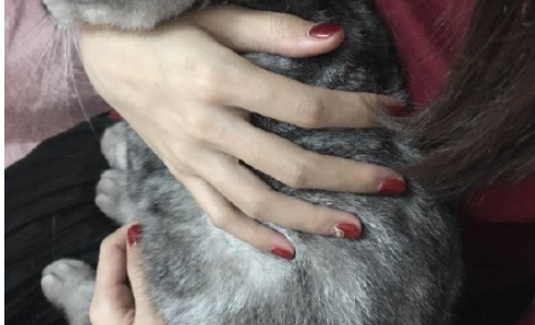 别人的手和我的手是什么梗 别人的手和我的手晒图比较