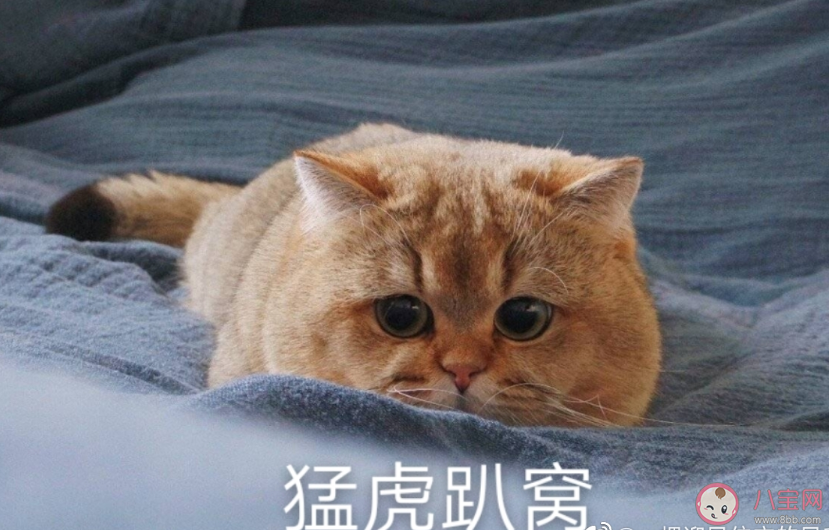 有哪些事后知后觉感到庆幸 后知后觉感到庆幸的事情分享