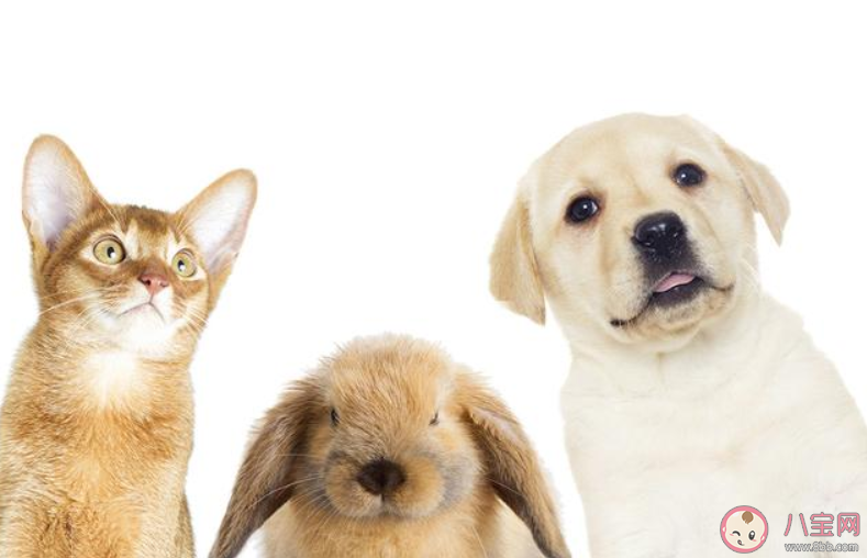 三个人友谊的说说朋友圈 表达三个人友谊的说说句子