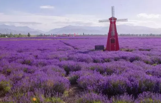 2019国庆冷门旅游景点大全 国庆冷门景点去哪好 2019国庆冷门旅游景点大全 国庆冷门景点去哪好